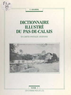cover image of Dictionnaire illustré du Pas-de-Calais (3). 320 communes (N à Z)